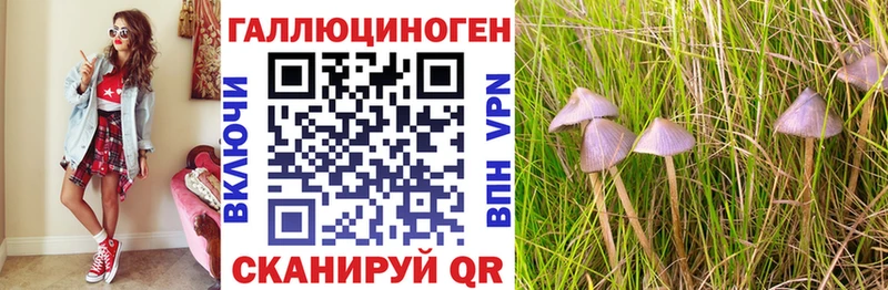 Псилоцибиновые грибы GOLDEN TEACHER  Купить закладки  Дятьково 